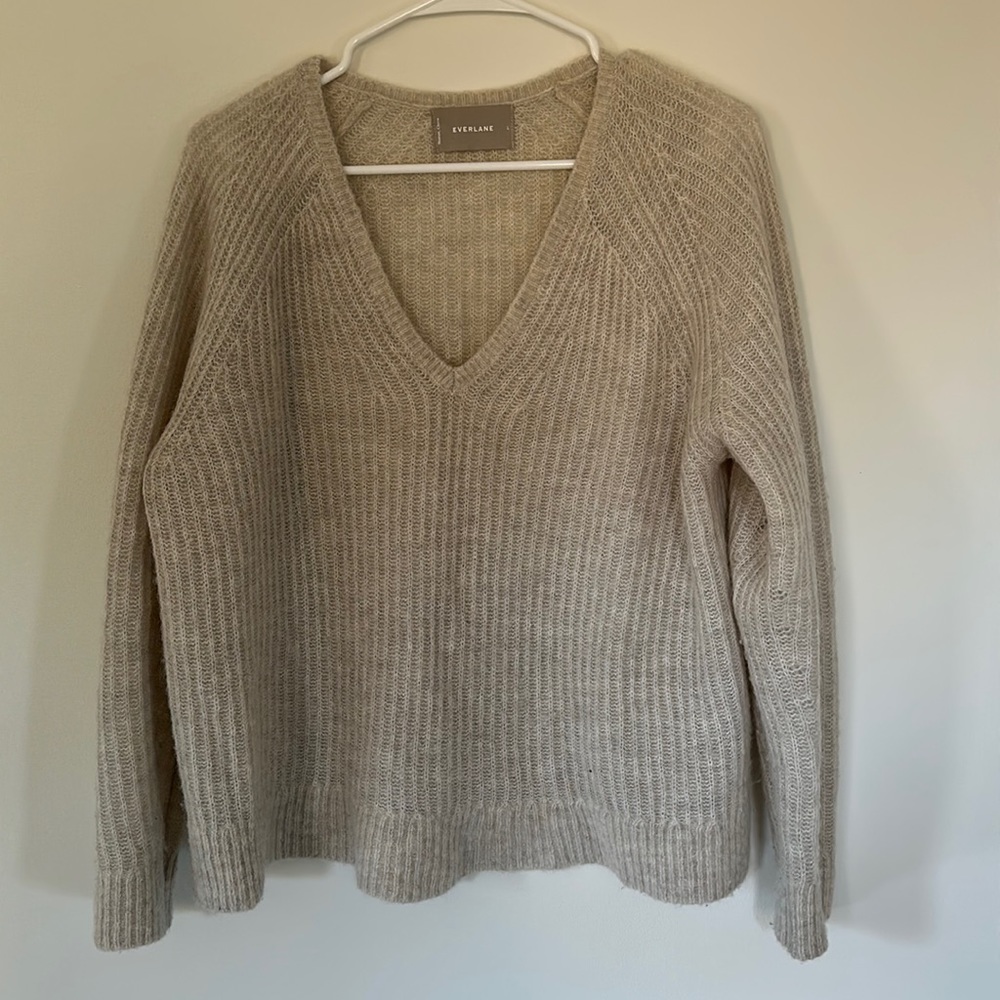 Everlane knit v neck sweater